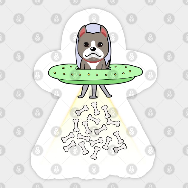 Funny grey dog is flying a ufo Sticker by Pet Station